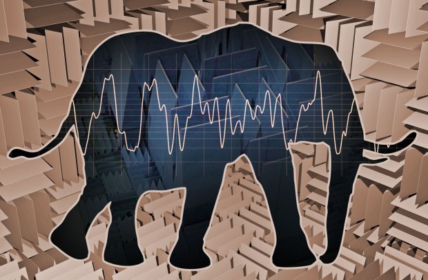 The elephant in the Anechoic chamber